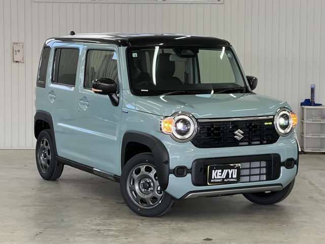 Suzuki Hustler 11