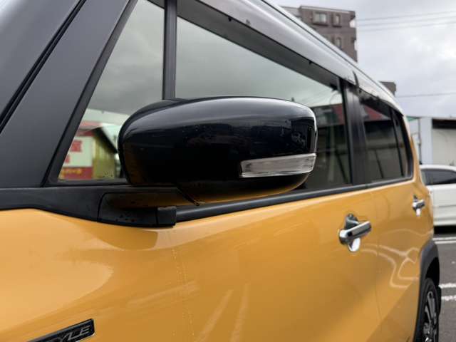 Suzuki Hustler 11