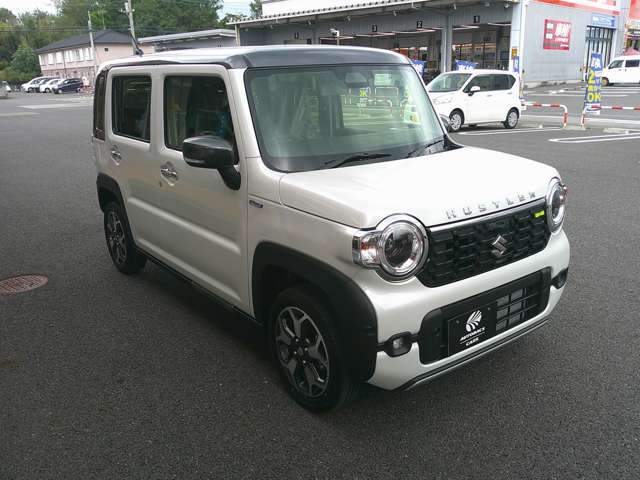 Suzuki Hustler 4