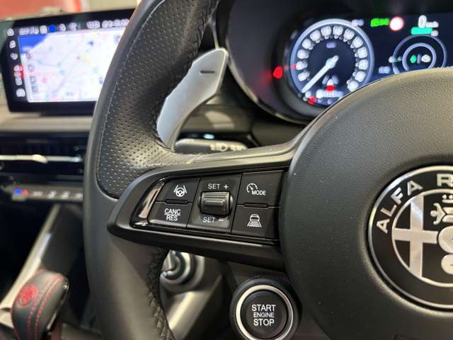 Alfa Romeo トナーレ 12