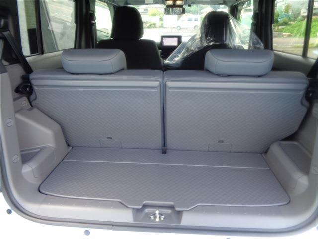 Daihatsu Taft 11