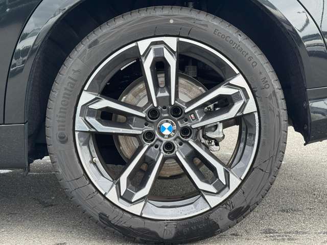 BMW X2 10