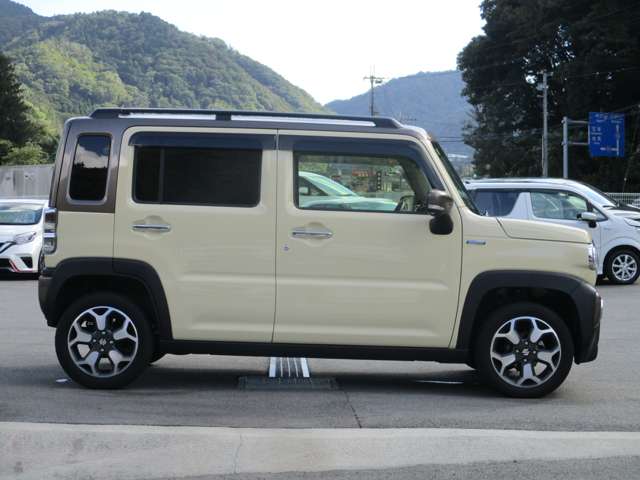 Suzuki Hustler 6
