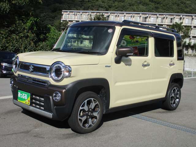 Suzuki Hustler 9