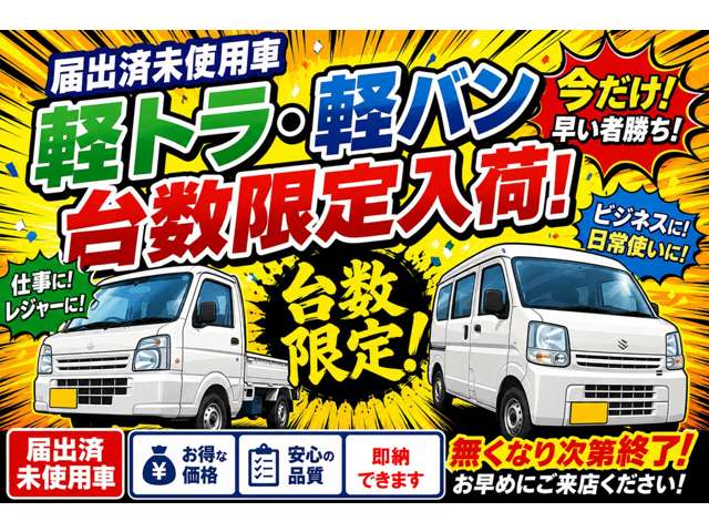 Suzuki Every 3