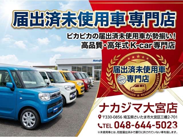 Mitsubishi Delica Mini 3
