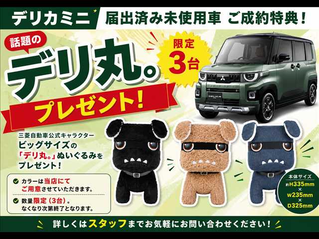 Mitsubishi Delica Mini 4