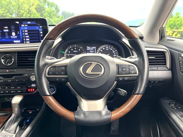 Lexus RX 11