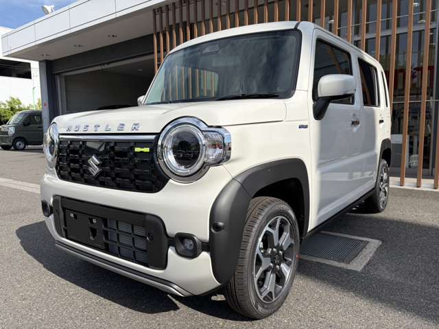 Suzuki Hustler 10