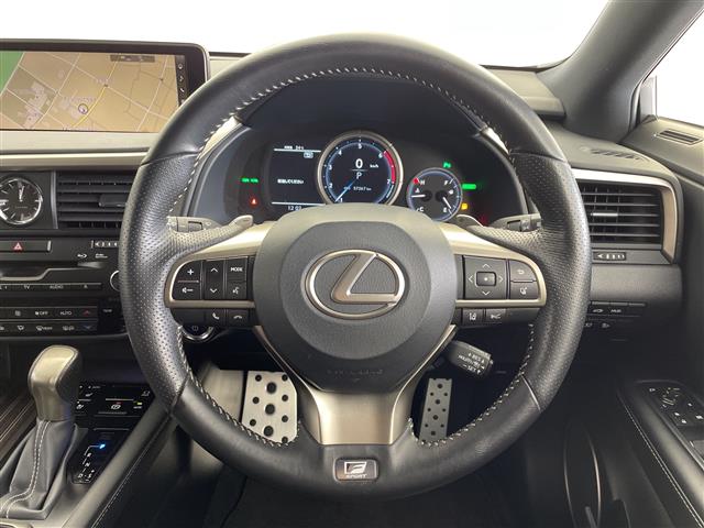 Lexus RX 11