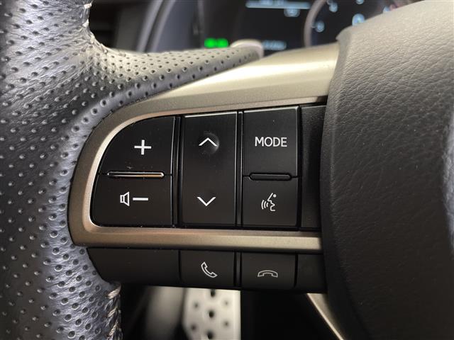 Lexus RX 12