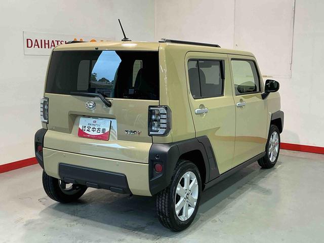 Daihatsu Taft 10