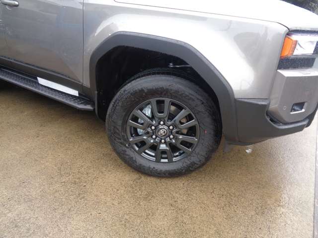Toyota Land Cruiser 250 3