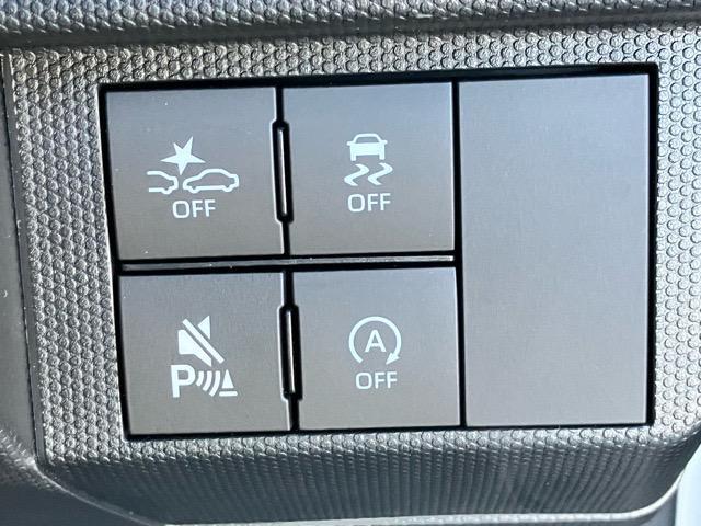 Daihatsu Taft 12
