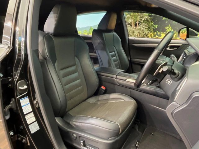 Lexus RX 11