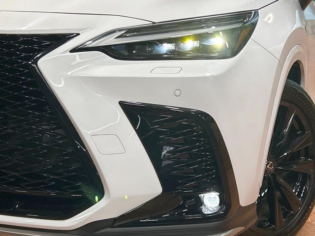 Lexus NX 12