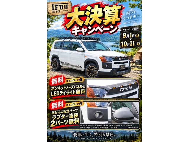 Toyota Probox Van 2