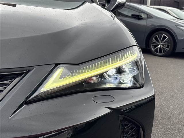 Lexus UX 12
