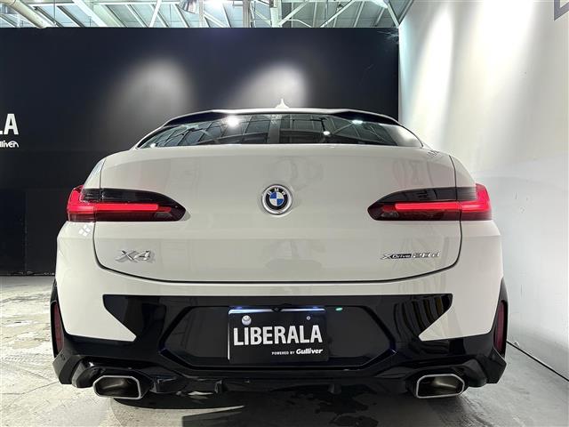 BMW X4 10
