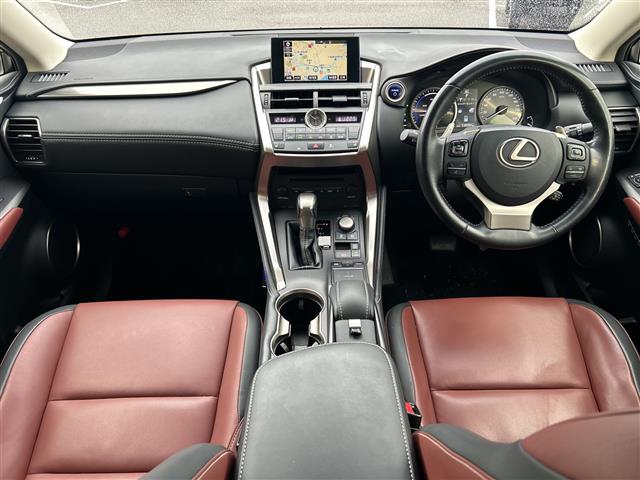 Lexus NX 4