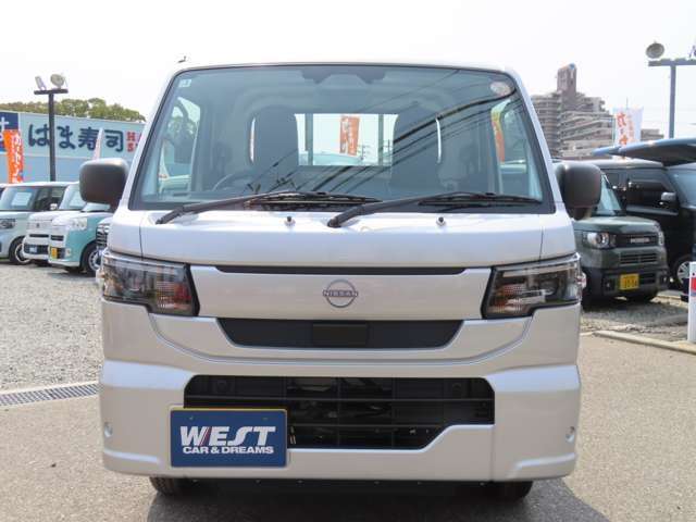 Nissan Clipper Truck 5