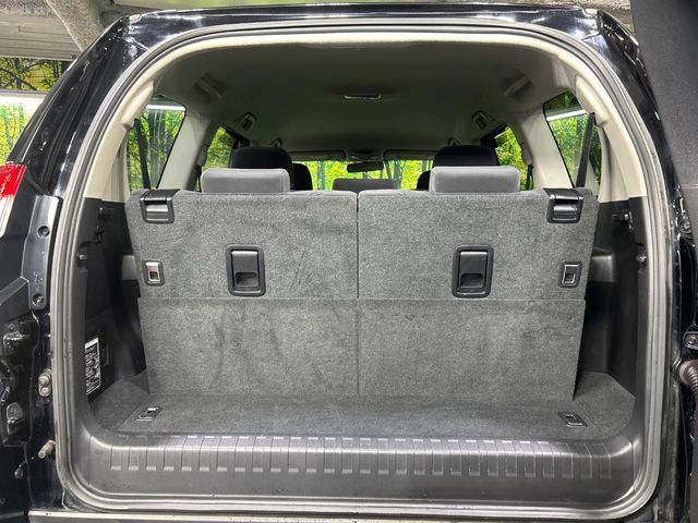 Toyota Land Cruiser Prado 9