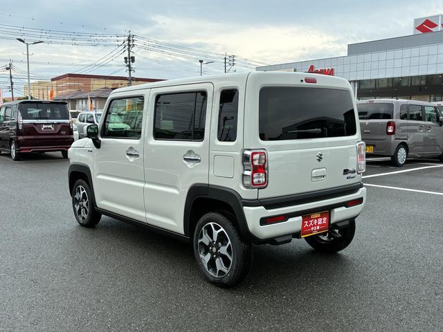 Suzuki Hustler 11