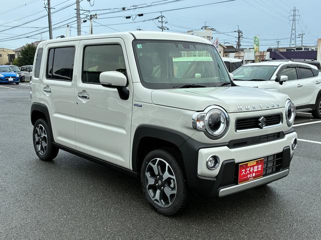 Suzuki Hustler 7