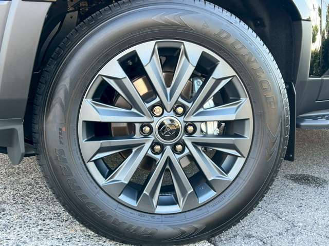 Toyota Land Cruiser 250 11