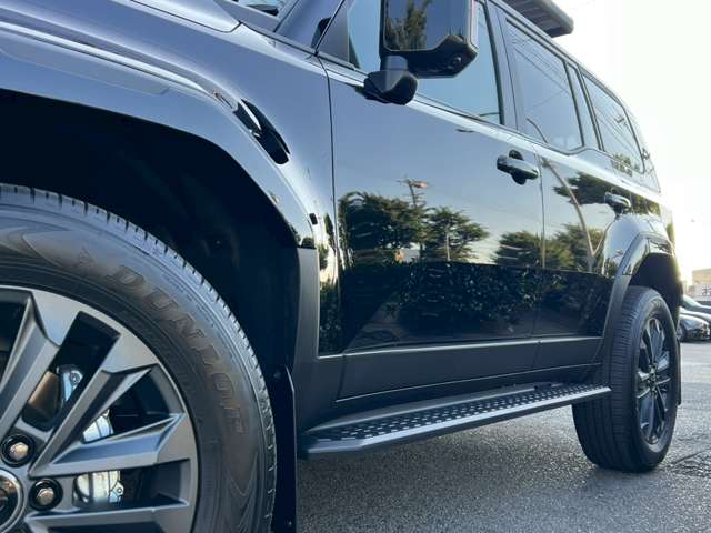 Toyota Land Cruiser 250 4