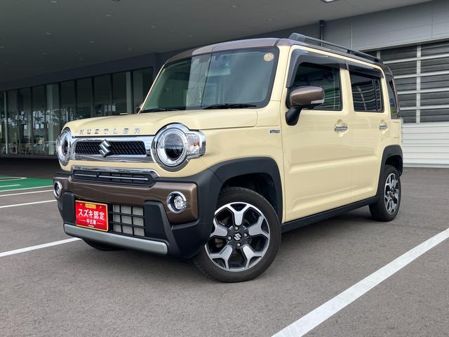 Suzuki Hustler 5
