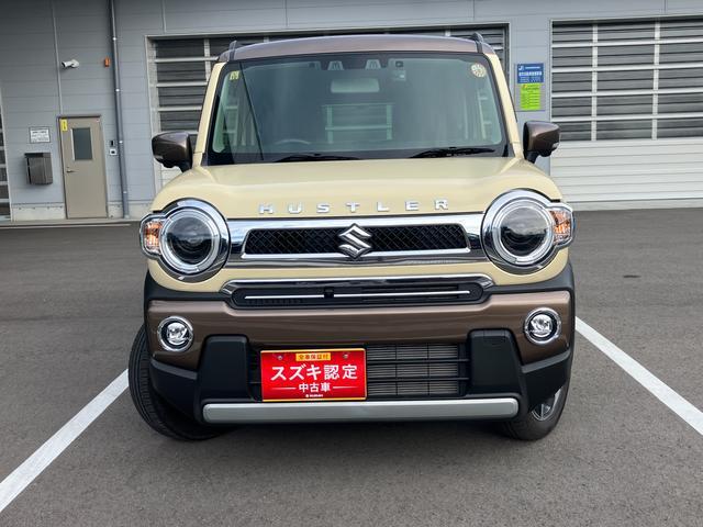 Suzuki Hustler 6