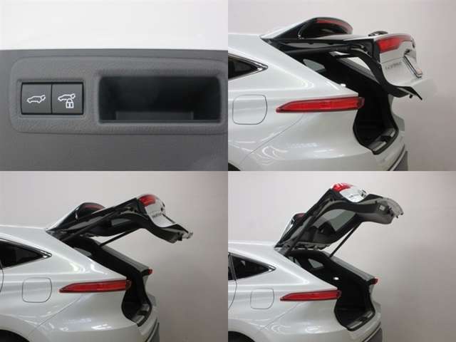 Toyota Harrier 10