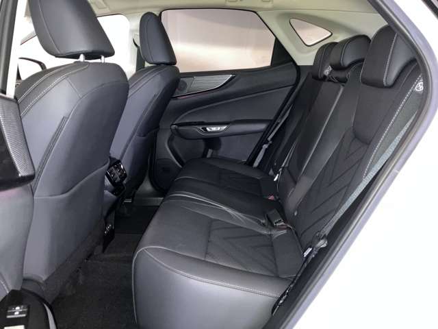Lexus NX 12