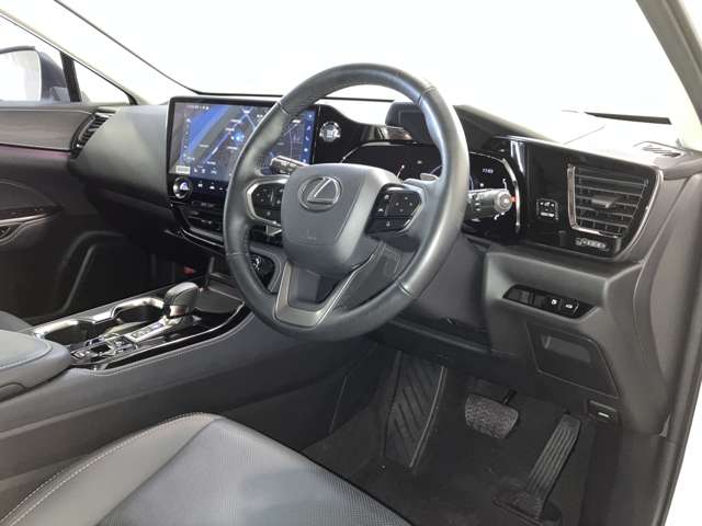 Lexus NX 4