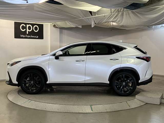 Lexus NX 6
