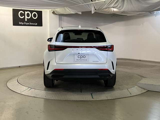 Lexus NX 7