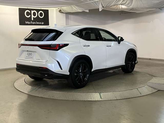 Lexus NX 8