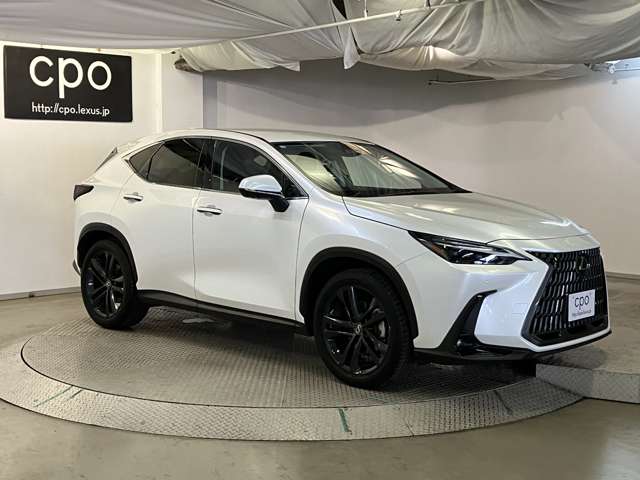 Lexus NX 10