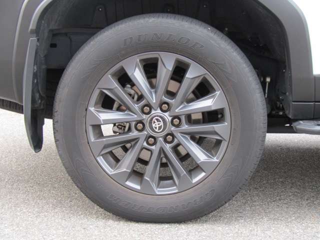 Toyota Land Cruiser 250 11