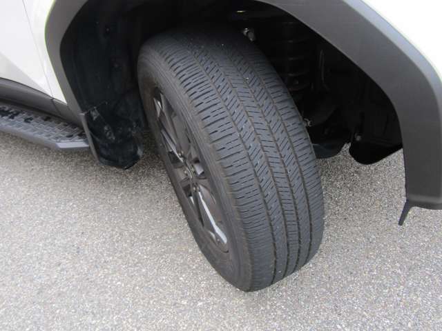 Toyota Land Cruiser 250 12