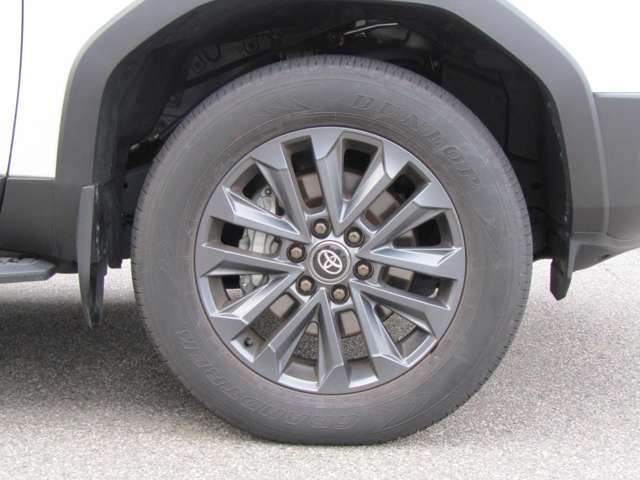 Toyota Land Cruiser 250 10