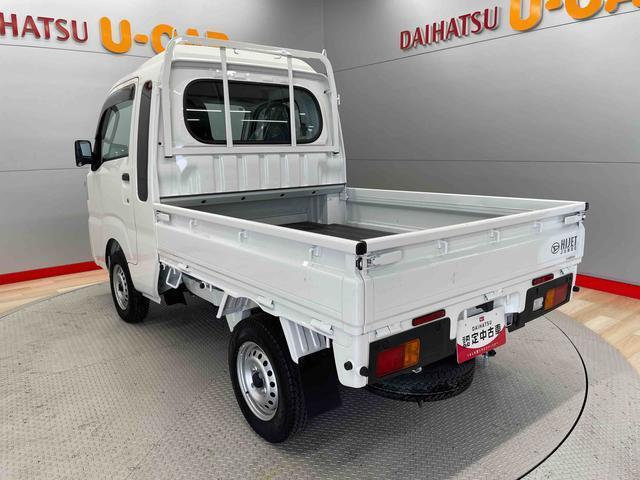 Daihatsu Hijet Truck 10