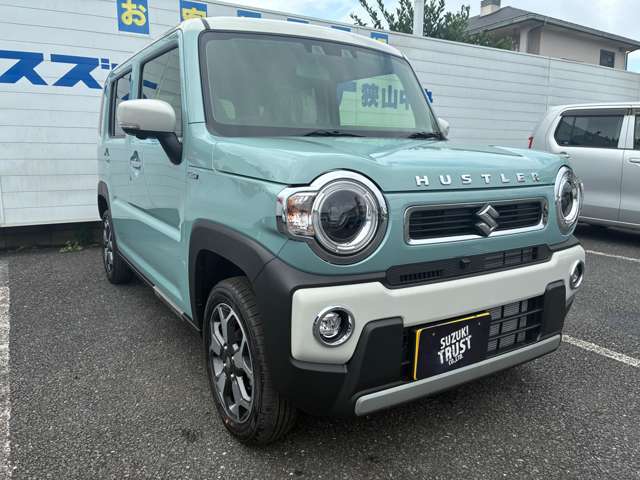 Suzuki Hustler 10