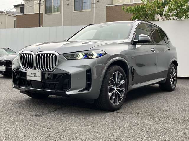 BMW X5 9