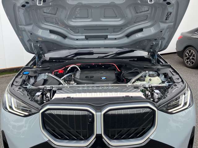 BMW X3 5