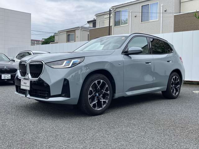 BMW X3 8