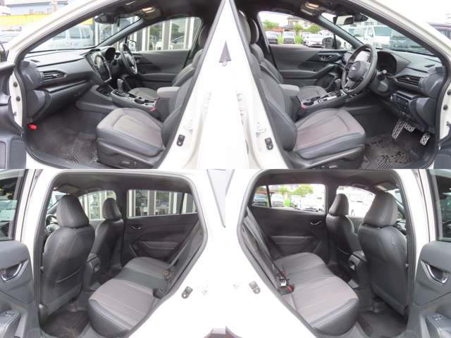 Subaru Crosstrek 6