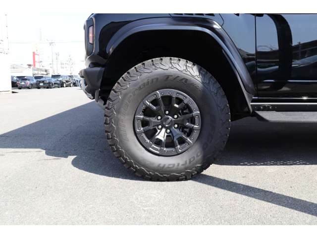 Ford ブロンコ 12
