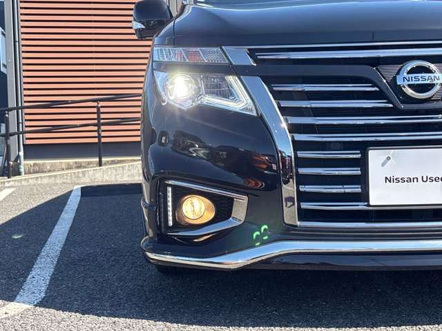 Nissan Elgrand 3